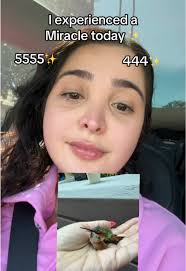 Hummingbird Zoe Link