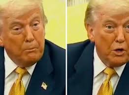 Amazing moment starlings scared off predator by pretending to be an even  bigger bird