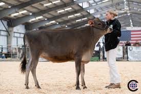 Western Classic Junior Dairy Show 2025