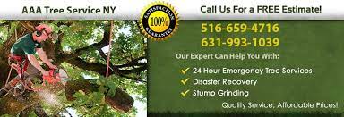 Aaa Complete Tree Service Ny Long Island Aaa Complete Tree Service In All Long Island Ny Tree Service Tree Trimming Tree Removal Service
