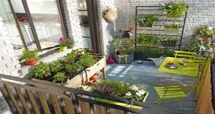Voir plus d'idées sur le thème plante balcon, plante, arbuste. Plantes Pour L Amenagement D Un Balcon En Automne