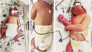 Image result for Harlequin Color Change