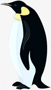 We did not find results for: Christmas Penguin Drawing Png Download 1711 3000 Free Transparent Penguin Png Download Cleanpng Kisspng