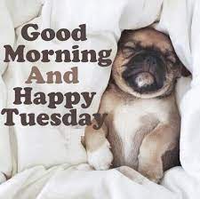 Amazing pic of good morning 8 good morning enjoy your beautiful tuesday sending lots of love and hugs good morning family and friends have a beautiful and blessed tuesday Pick Up Lines Cheesy Funny Tinder Pick Up Lines Tuesday Morning Funny Quotes