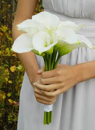 Hoa loa kèn hay còn gọi là huệ tây là tên gọi chung cho các loài hoa thuộc họ liliaceae (cũng có sách ghi là họ hành tỏi). Váº» Ä'áº¹p Thanh Khiáº¿t Cá»§a Hoa Rum Cho Co Dau Ä'áº¹p Ráº¡ng Ngá»i Trong Ngay CÆ°á»›i