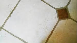 Es uno de los ingredientes de cocina más utilizados para la limpieza casera, y en este caso es perfecto ya que es muy eficaz para eliminar la cal y la suciedad que se incrusta en los azulejos. Como Limpiar Los Azulejos De La Cocina Remedios Caseros