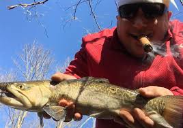 Exceptional fishing for an unexpected species a bonus