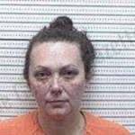 Casey Mosley — Tattnall County Jail Bookings