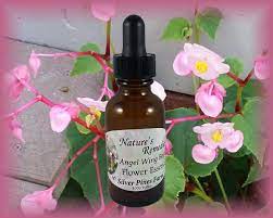Angel Wing Begonia Flower Essence Nature S Remedies Etsy Flower Essences Essence Begonia