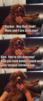Tucker Wanted To Be In A Meme Hey Dad Look Mom And I Are Dancing Dogmeme Meme Uzumedia Memes Seriously Funny Tucker Today we have a look at look at this dude but hey!!