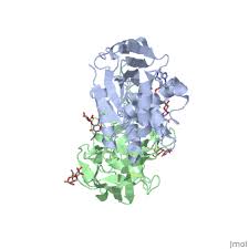 Image result for Ricin