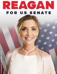 Let me introduce you to grassroots candidate Reagan Box. She was a horse  trainer and sold a lot of stuff that she had to start her journey running  for US Senate here