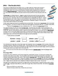 Leave a reply cancel reply. Dna Coloring Key By Biologycorner Teachers Pay Teachers