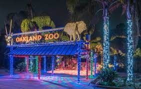 Merry Bright The Best Holiday Light Displays In The Bay Area Holiday Lights Display Holiday Lights Best Christmas Lights