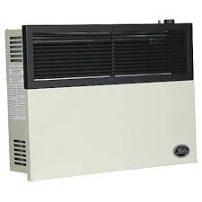 Not sure which vent free propane heater to choose? Ashley 17 000 Btu Direct Vent Propane Heater Dvag17l At Tractor Supply Co