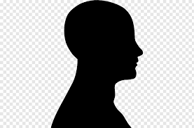 Check spelling or type a new query. Face Outline Free Png Face Outline Silhouette Drawing Silhouette Face