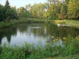 Pond·ed , pond·ing , ponds v. How To Breed Catfish In Ponds Farm Pond Swimming Pond Pond Landscaping