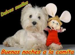 7 imagenes etiquetadas con topo gigio imagenes cool pet mice cute animals cutest dog ever