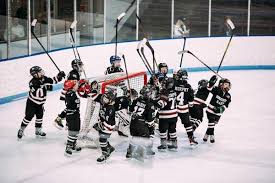 Scouts In Hockey Heaven With Inaugural U18 Aaa Showcase – Brandon Sun