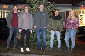 Auf der Lindenallee leuchten wieder die Weihnachtsbäume