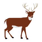 Download Deer Silhouette 1573809884 Free Svg PSD Mockup Templates