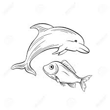 We did not find results for: Dolphin And Fish Monochrome Flat Vector Illustration Sea Animals Royalty Free Cliparts Vectors And Stock Illustration Image 127936828