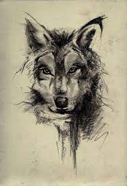 Pin By Sangik Park On Tattoo Wolf Tattoos Wolf Tattoo Design Wolf Tattoo
