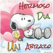 Mi Vida Te Quiero Saludos De Buenos Dias Abrazo De Buenos Dias Feliz Dia Del Odontologo