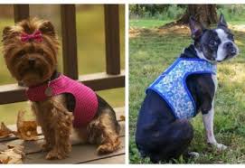 Diy Fabric Dog Harness Free Sewing Patterns In 2020 Diy Slippers Animal Sewing Patterns Stuffed Animal Patterns