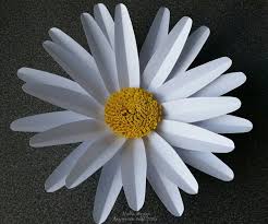 Download Large Flower Petals Anyone Can Craft