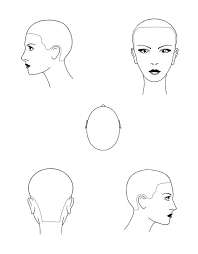 Head Diagram Stencils Hair Chart Head Shapes Hair Academy