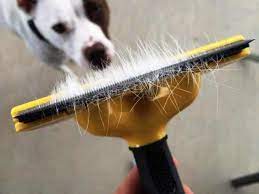 It will help you to get the most out of your cleaning efforts. Best Way To Remove Dog Hair From Car Methods For Clean Car