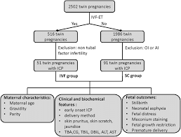 Flow Chart Of The Present Study A Total Of 2502 Twin