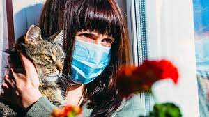 Große auswahl an catch it. Coronavirus How Long Does It Take To Recover Bbc News