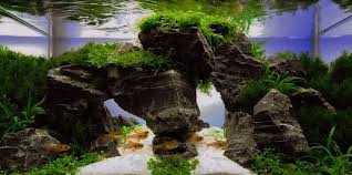 Beautiful Aquascape Aquascape Aquarium Sand Planted Aquarium