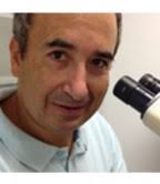 La ciencia que subyace bajo la selección de linfocitos para la producción  del CAR-T