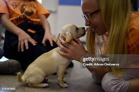 124 Aaron Pet Photos & High Res Pictures