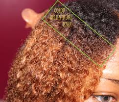 6.5g lightest golden brown, amber shimmer. Shea Moisture Hair Dye Galhairs