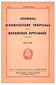 Image result for Sesbania pachycarpa