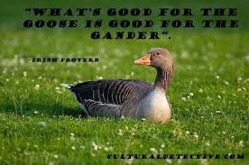 What S Good For The Goose Is Good For The Gander Irish Proverb Animals Spirit Animal Animal Symbolism