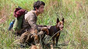 Jessica henwick, dylan o'brien, michael rooker and others. Dylan O Brien News On Twitter So Excited For Love And Monsters Dylanobrien
