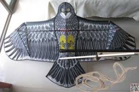 China Fiberglass Rod Hawk Kite Bird Scarer Kit 4m Pole China Halk Kite And Bird Scarer Price