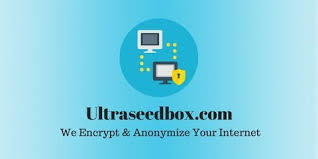 High Speed Plex Seedbox At Ultraseedbox Review Dedication Hosting Hosting Services
