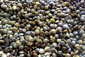 Comment Cuire Les Lentilles Vertes Cuisson Lentilles Cuisson Lentilles Vertes Lentilles Vertes