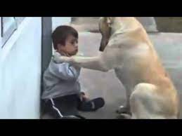 Down Syndrome Child With Dog Youtube