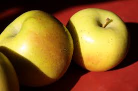 All apple/goldrush trees (spring 2022) fruit trees are shipped in march and april, but shopping before spring gives the best selection. Gold Rush Apples Tuttle Orchards Inc Indianapolis Apple Orchard Pumpkin Patch And Farm Store