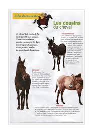 Epingle Sur Galops