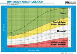 Kurang berat atau berlebihan berat badan? Cara Kira Bmi Kalkulator Bayi Kanak Kanak Ibu Mengandung