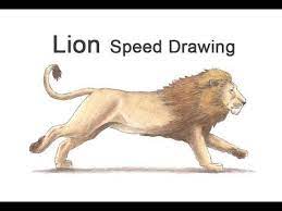 Draw two circles for eyes about halfway down the head. Learn How To Draw And Color A Lion Running With This How To Video And Step By Step Drawing Instructions New Drawing Lion Drawing Running Drawing Zebra Drawing