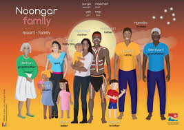 Language Kaartdijin Noongar Aboriginal Education Indigenous Studies Indigenous Education